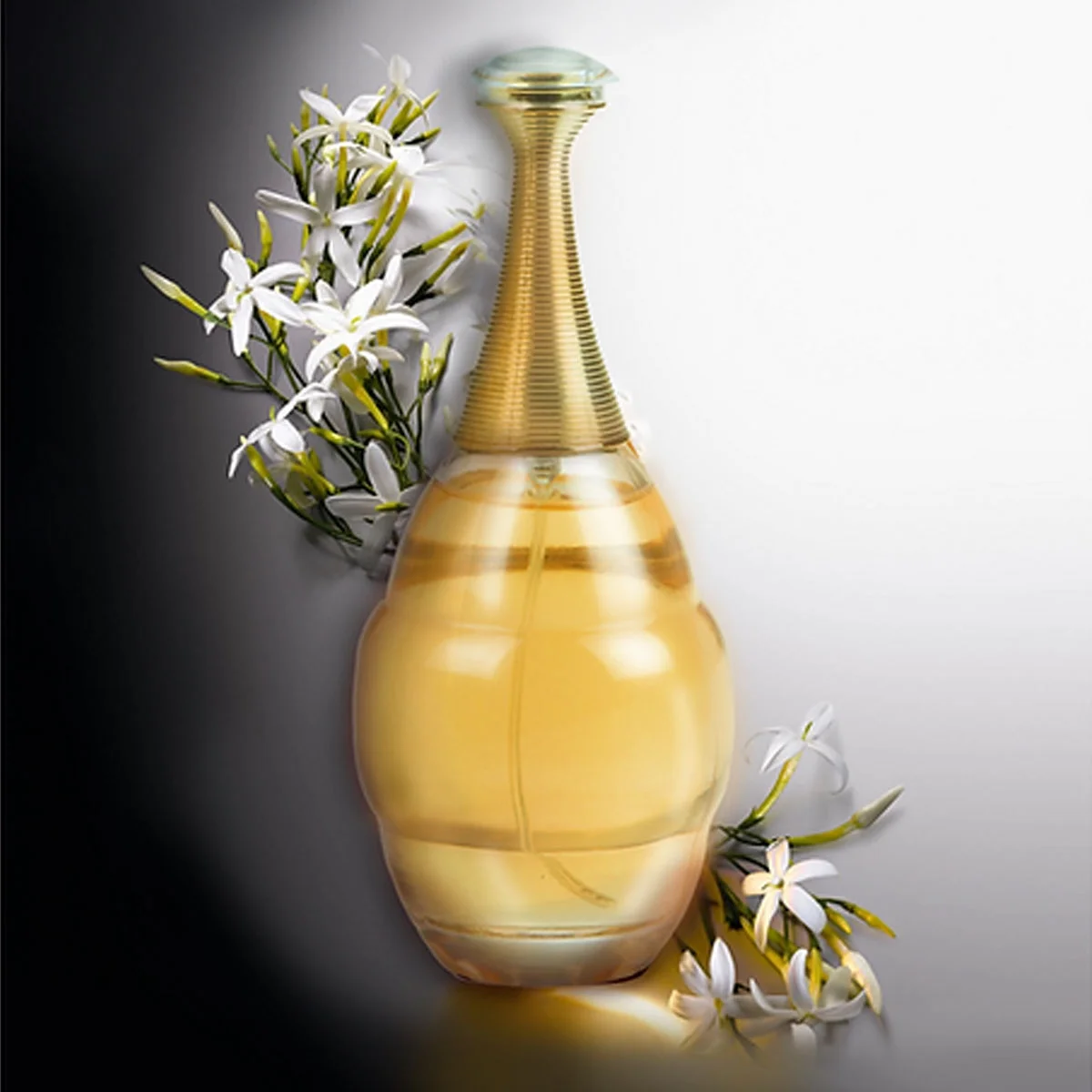 J’ovial for Women – Eau de Parfum Spray - Image 2